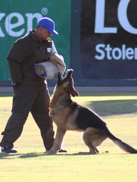 2005 Universal Seiger Champion Fabian Vom Mittelwest 4