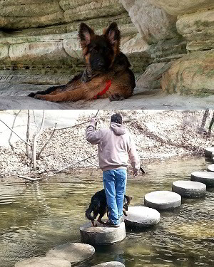 Client Testimonials Of Mittelwest German Shepherds Brian & Karen