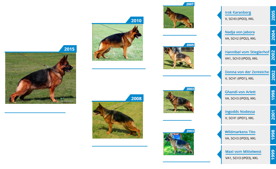 Pedigree For - VA Kona vom Mittelwest II - Pedigree