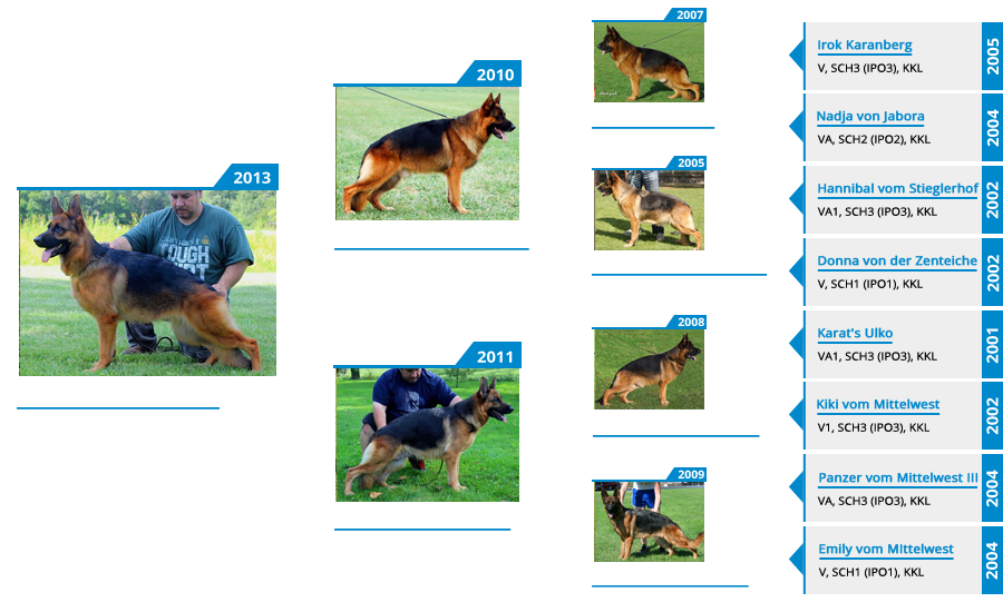 Breeding Females - V Lena vom Mittelwest II - Pedigree