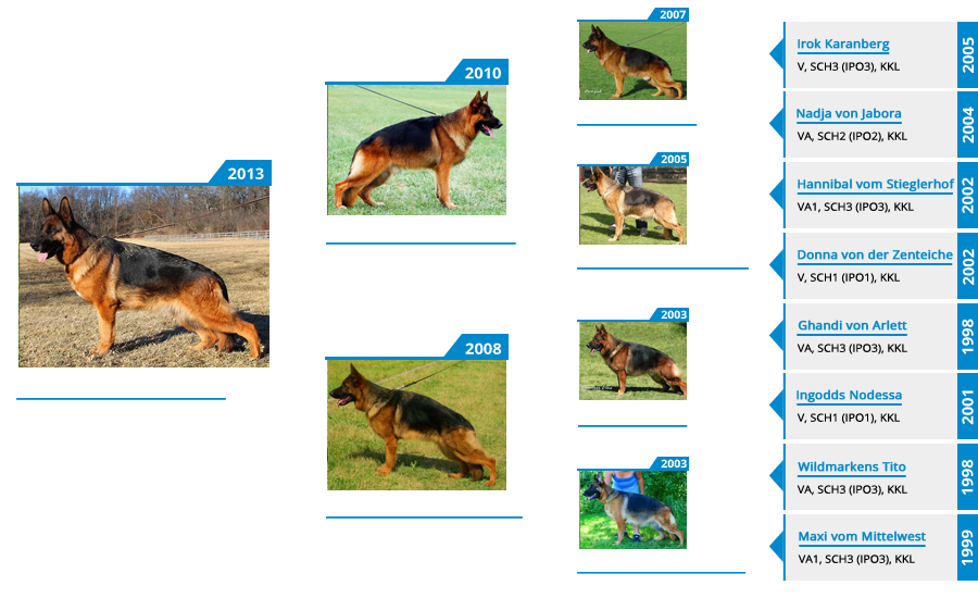 Breeding Females - V Vespa vom Mittelwest - Pedigree