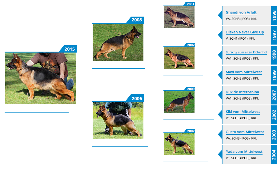 Breeding Females - Napa vom Mittelwest III - Pedigree