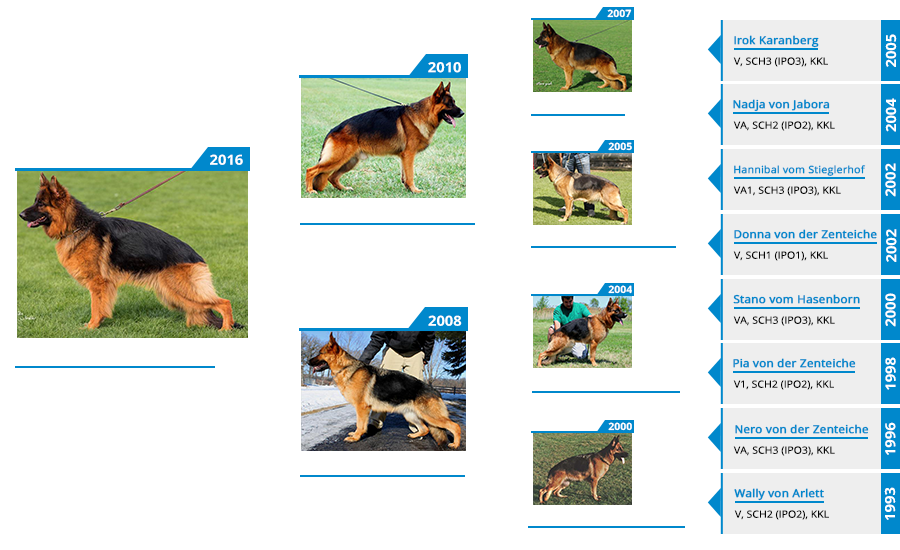 Breeding Female - V Orchid vom Mittelwest Pedigree