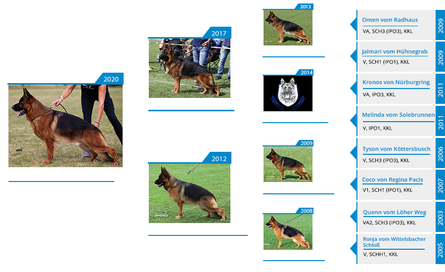 Mittelwest Champion Stud - V Hawky vom Bierstadter Hof IGP3 KKL LBZ